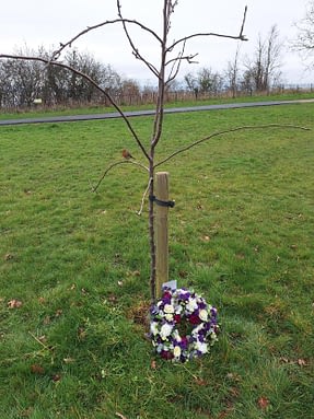 COVID-19 Day of Reflection