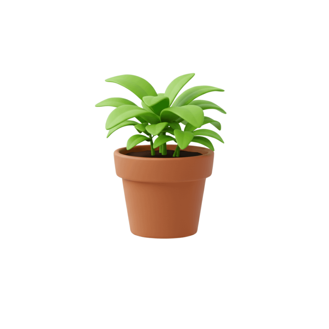 pot plant 1080x1080