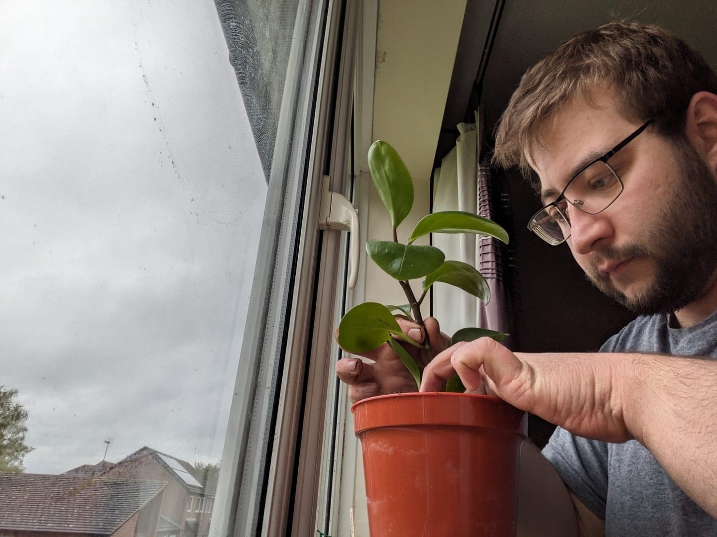 Caring for my plants