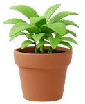 Mature plant_trans mature plant trans