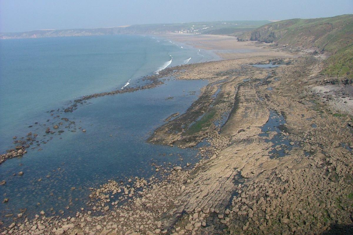 Newgale Foraging With Craig Evans