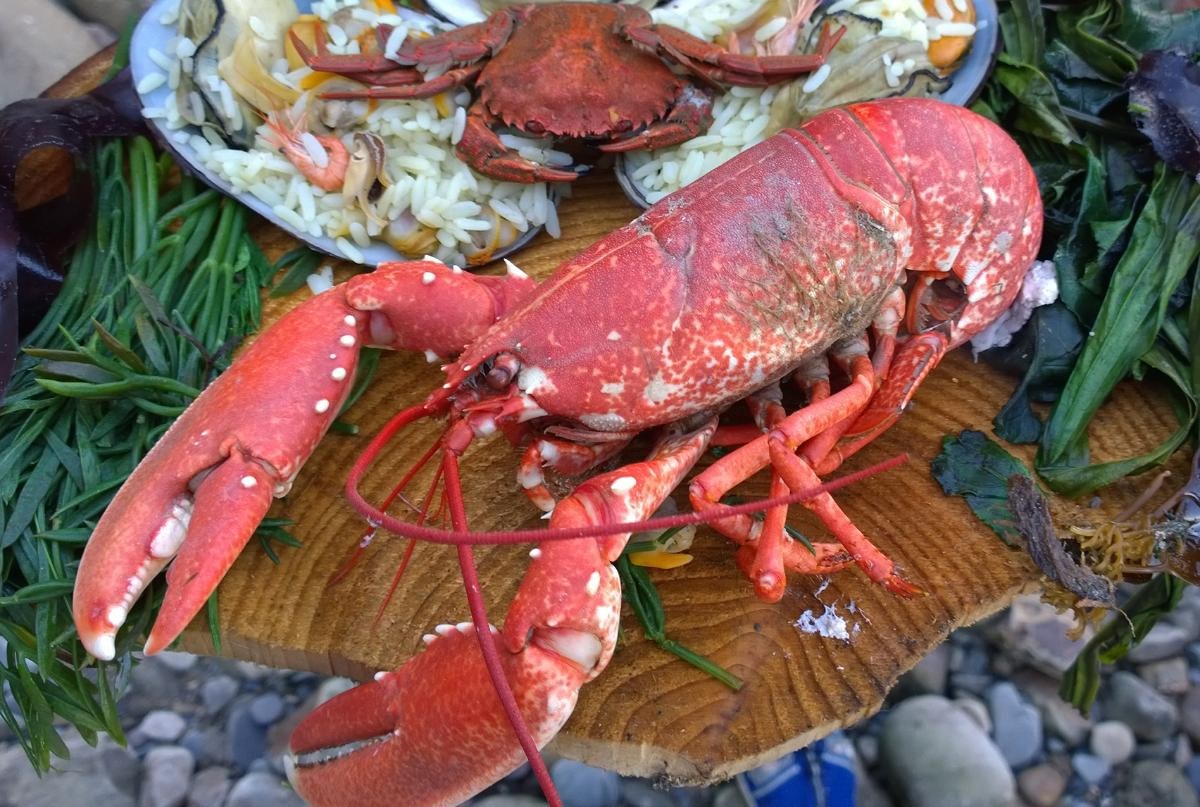 Lobster, Pembrokeshire Blas Restaurant