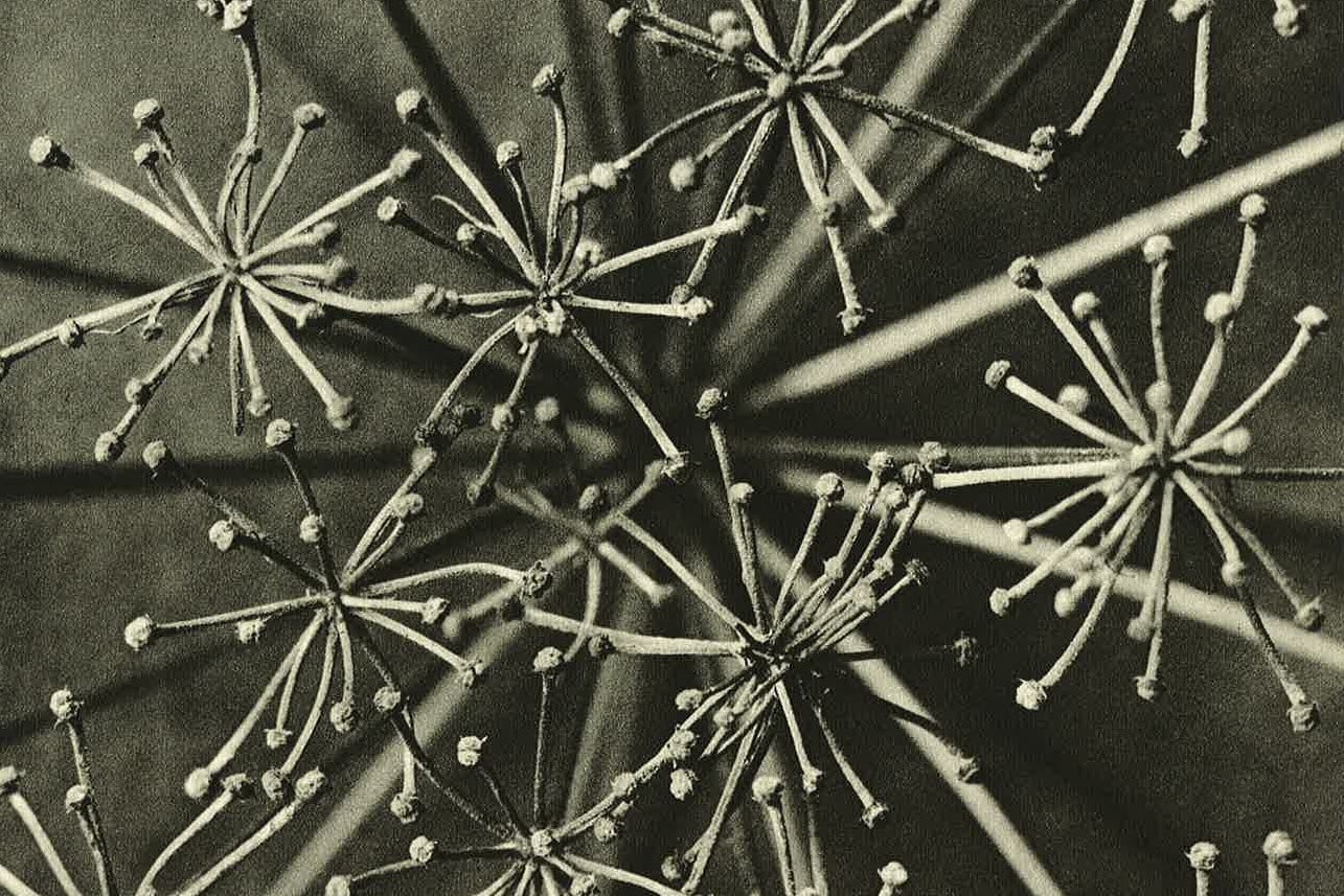 web