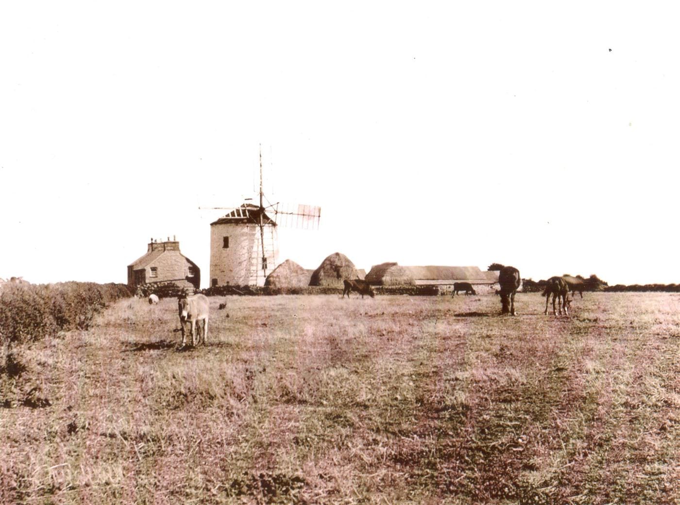 Twr Y Felin Original Windmill