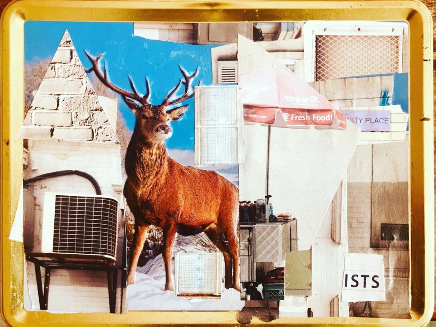 actaeon+tin+lp