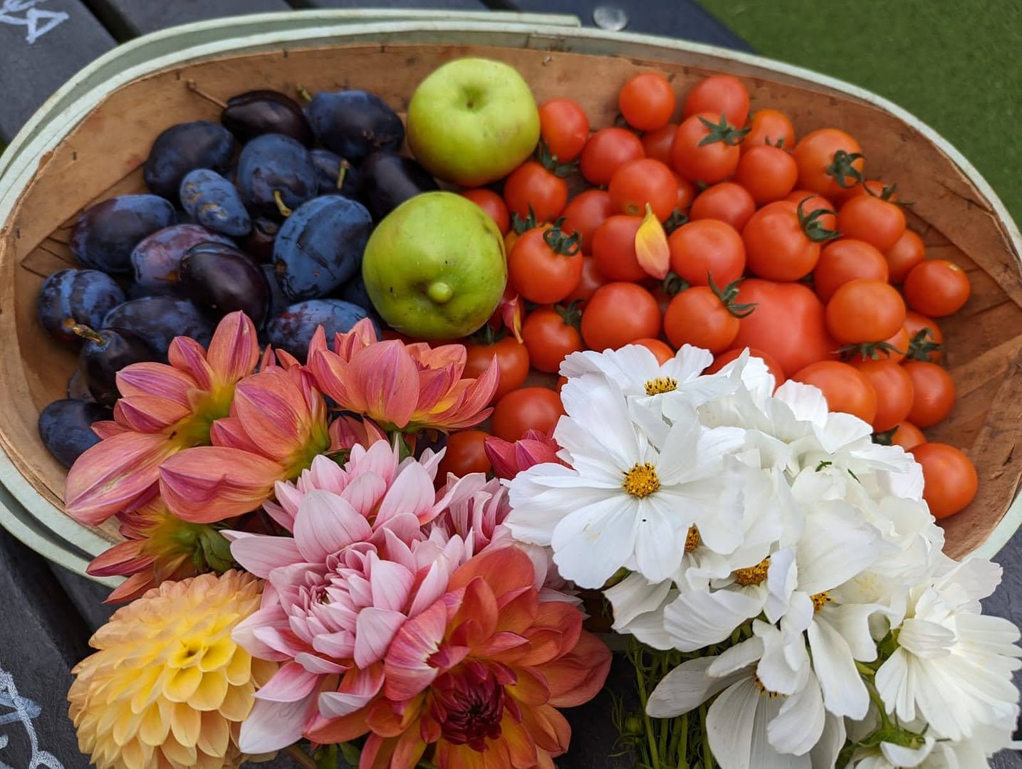 310641438 420017393605718 5795665969709665340 n 310641438 420017393605718 5795665969709665340 n