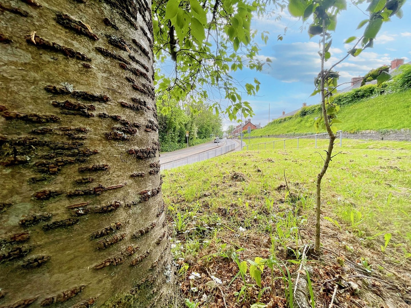 Radyr & Morganstown Community Council