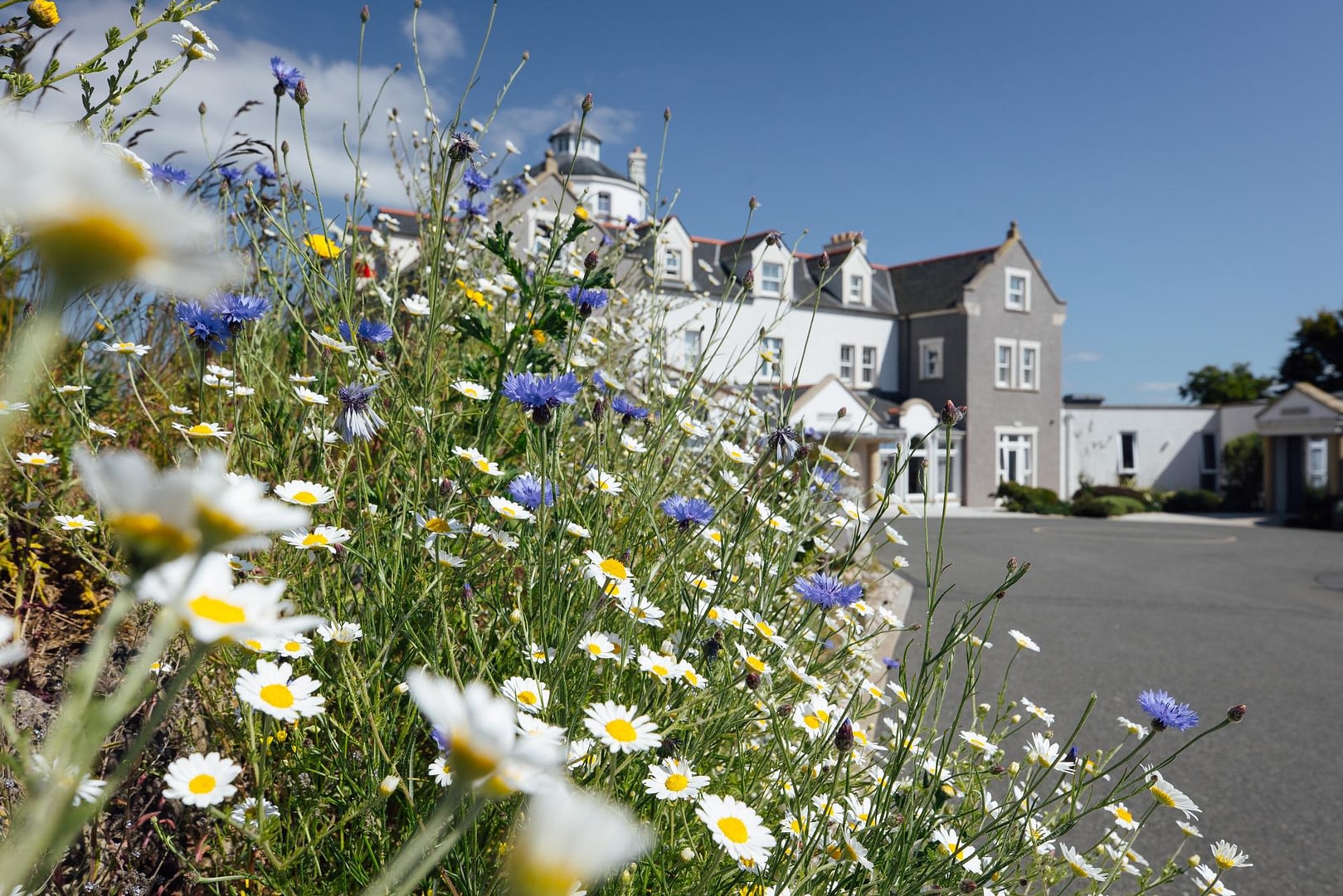 Twr y Felin Hotel, St Davids