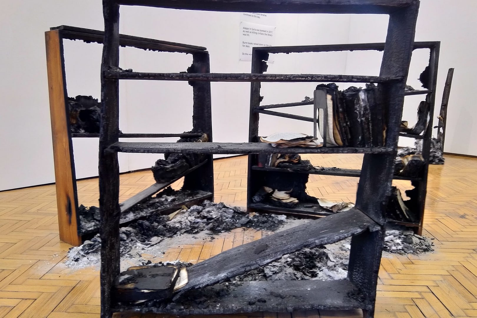 burnt bookcases. you can't destroy identities 2 (2025 02 26 10 39 52 utc)