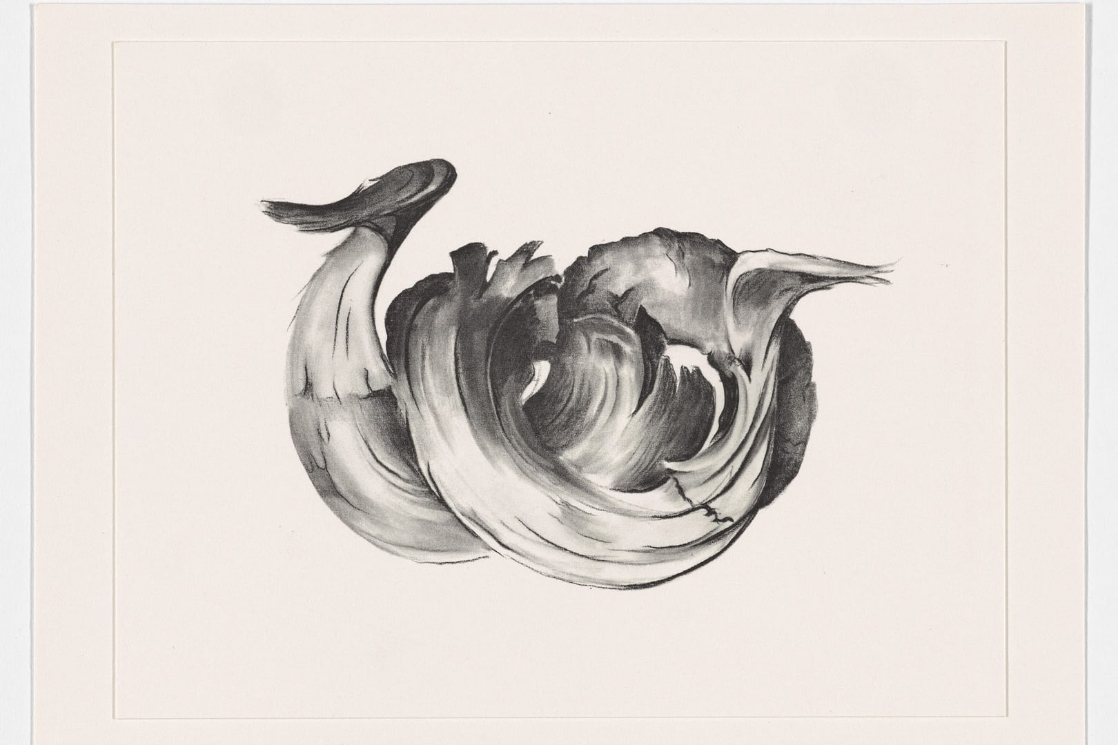 georgia o'keeffe, ram's horns ii, c.1949, from some memories of drawings, 1974 © georgia o'keeffe museum dacs, london 2021. photo anna arca