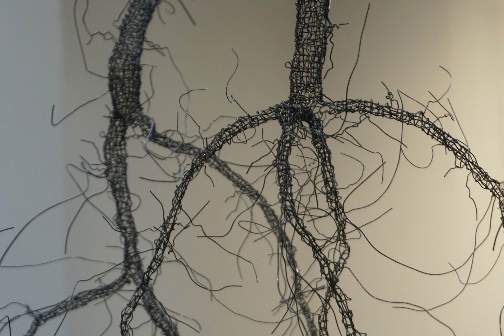 sue hiley harris revealed detail