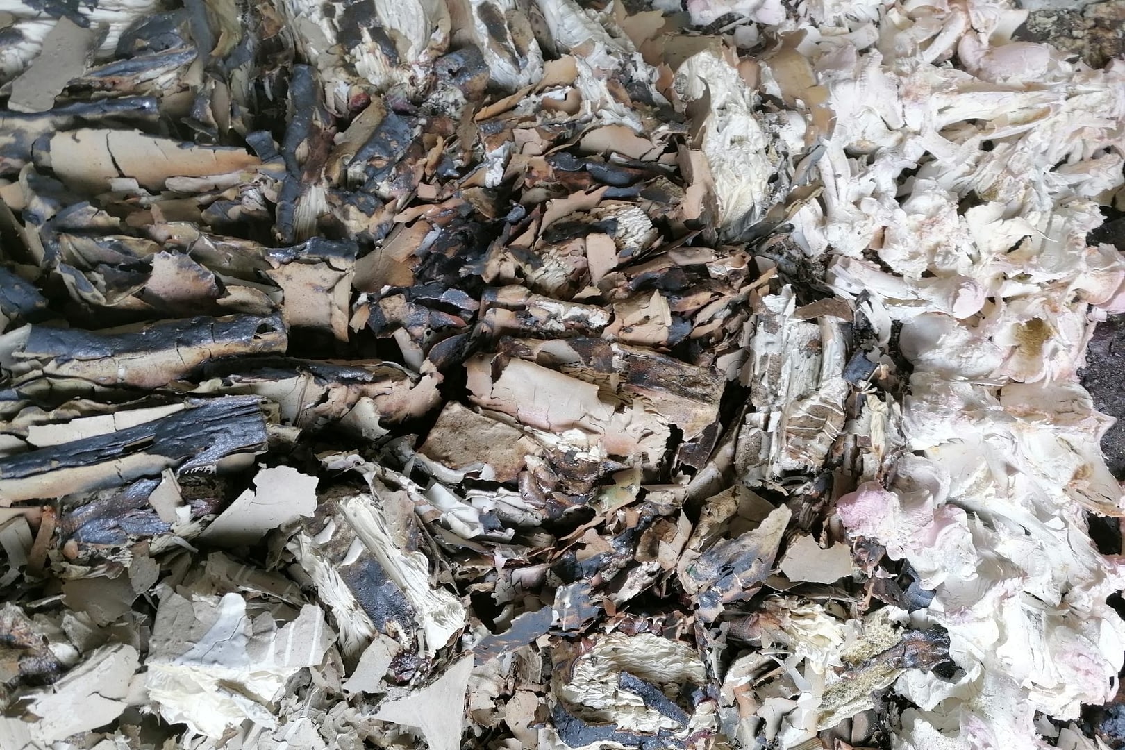 you cant destroy words (3) (2025 02 26 10 39 52 utc)