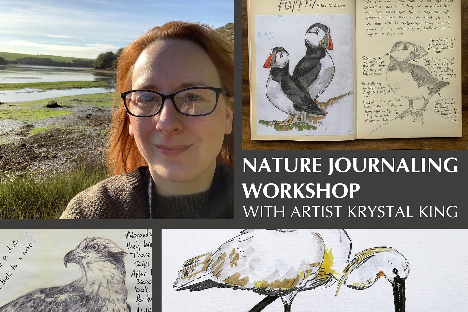 nature journaling workshop 3