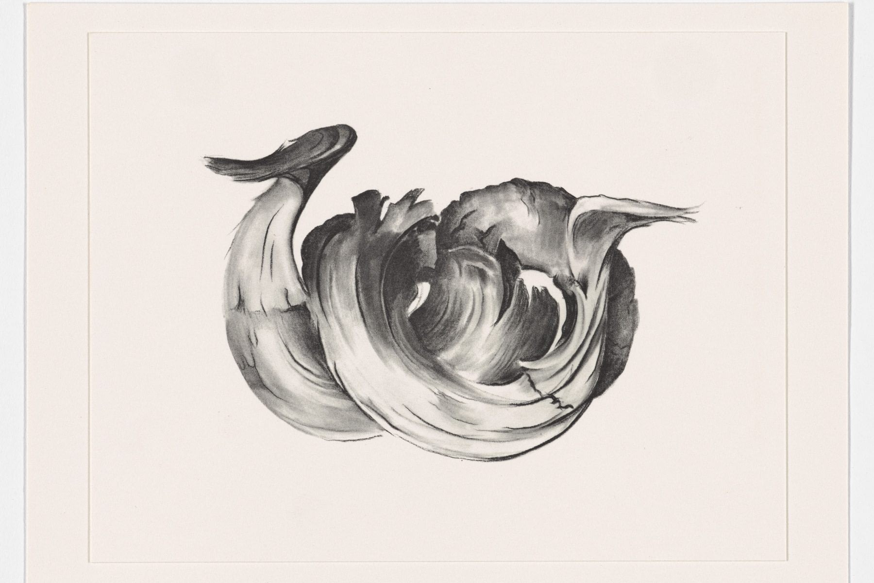 O’Keeffe Memories of Drawings