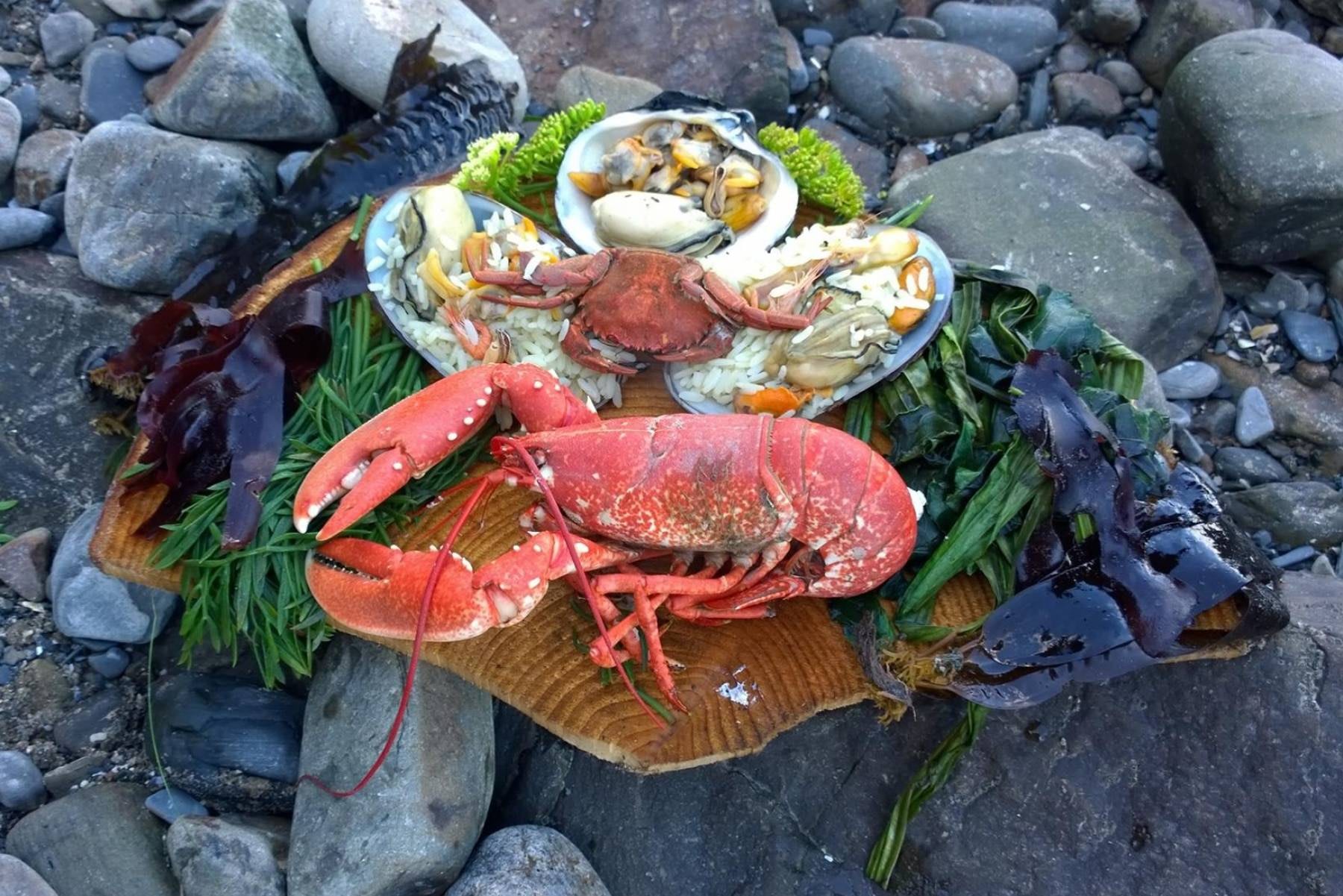 Foraging With Craig Evans Lobster Pembrokeshire Scaled