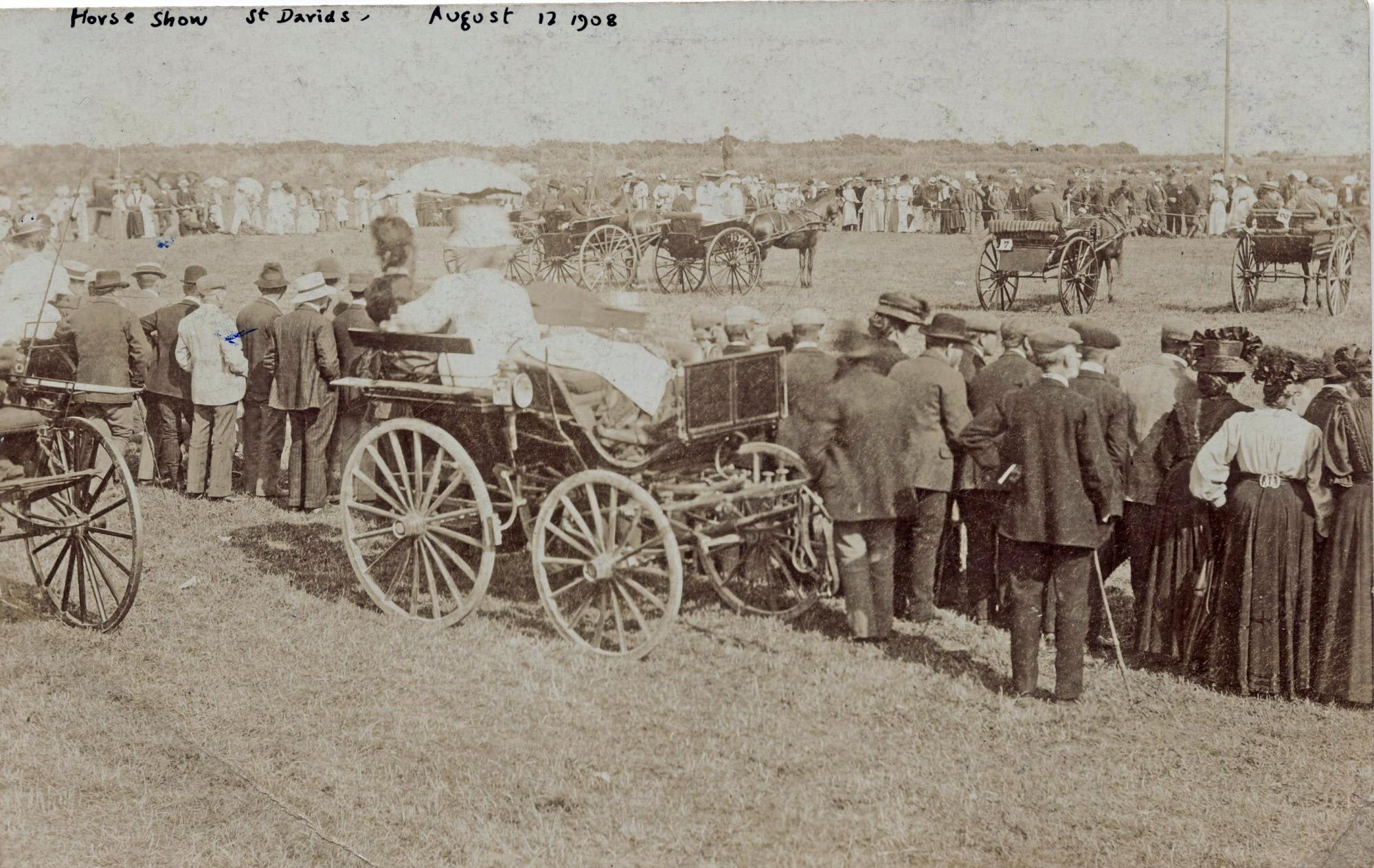 1908 st davids horse show