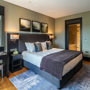 dog friendly rooms oriel unique 02