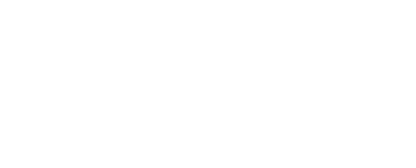 Professional Passport Umbrella