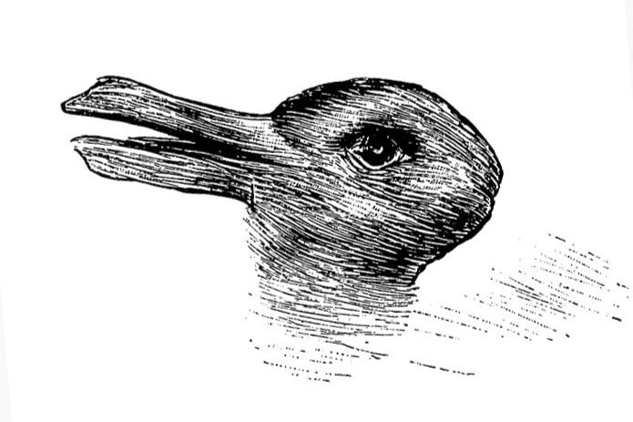 duck r