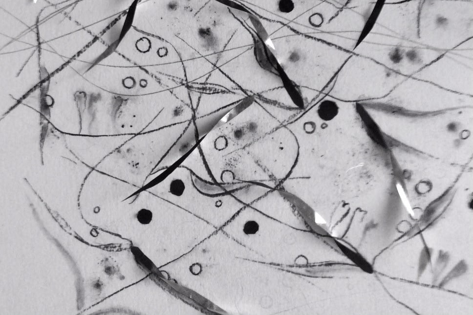 angela kingston shedding – vetch