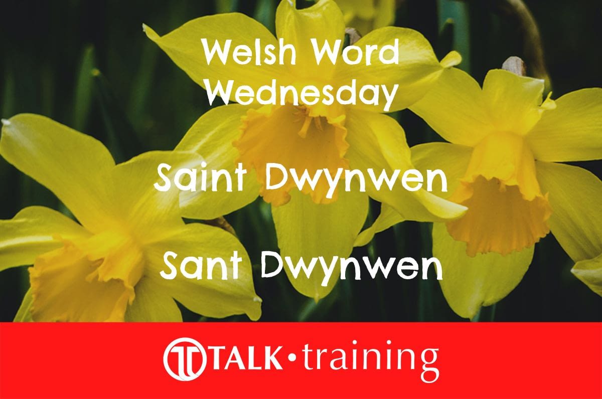 Welsh Word Wednesday 25/01/2023 WelshWednesday Talk Training