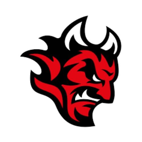 Cardiff Devils