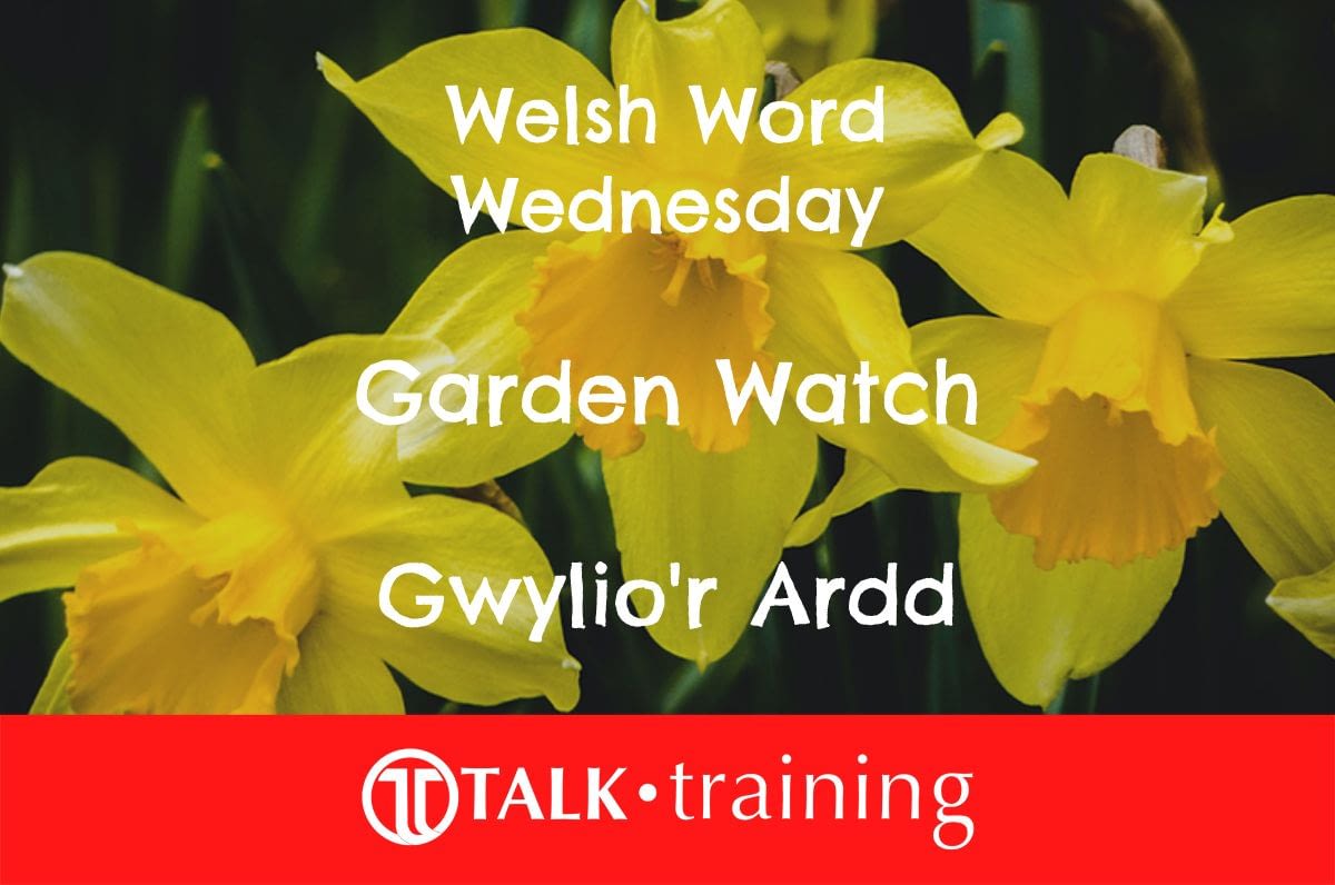 Welsh Word Wednesday 17 01 2024 WelshWednesday Talk Training   Garden Watch 