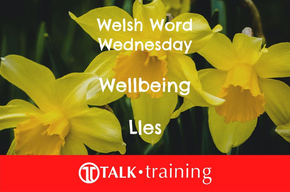Welsh Word Wednesday 28/06/2023 WelshWednesday Talk Training